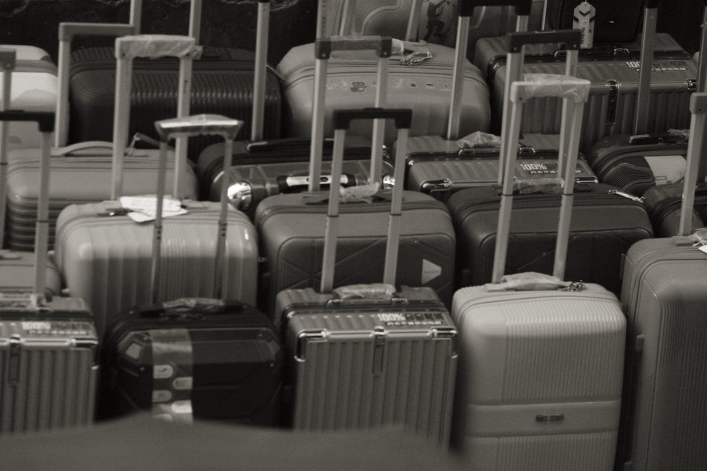 Checked suitcases moving along an airport baggage carousel